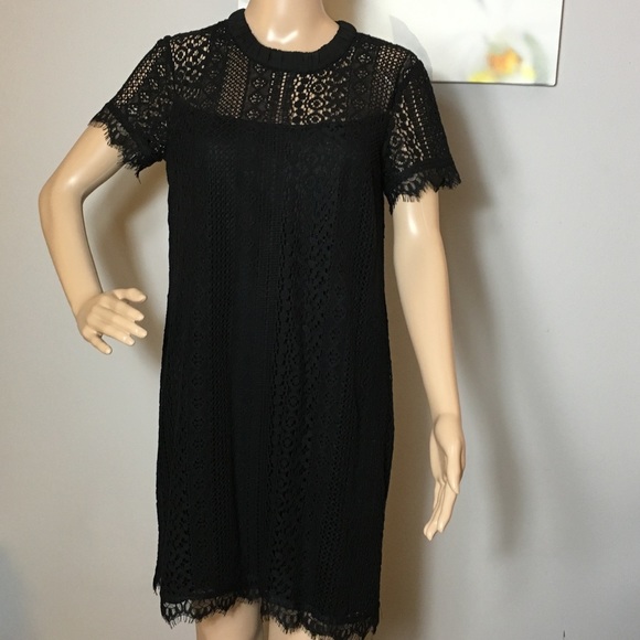 LC Lauren Conrad Dresses & Skirts - Lauren Conrad • Lace overlay dress